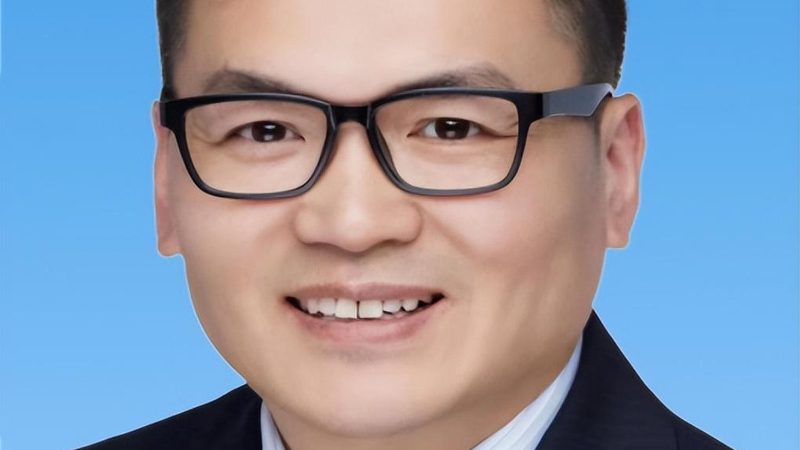 四川电子模块代理加盟，揭秘价格背后的考量因素